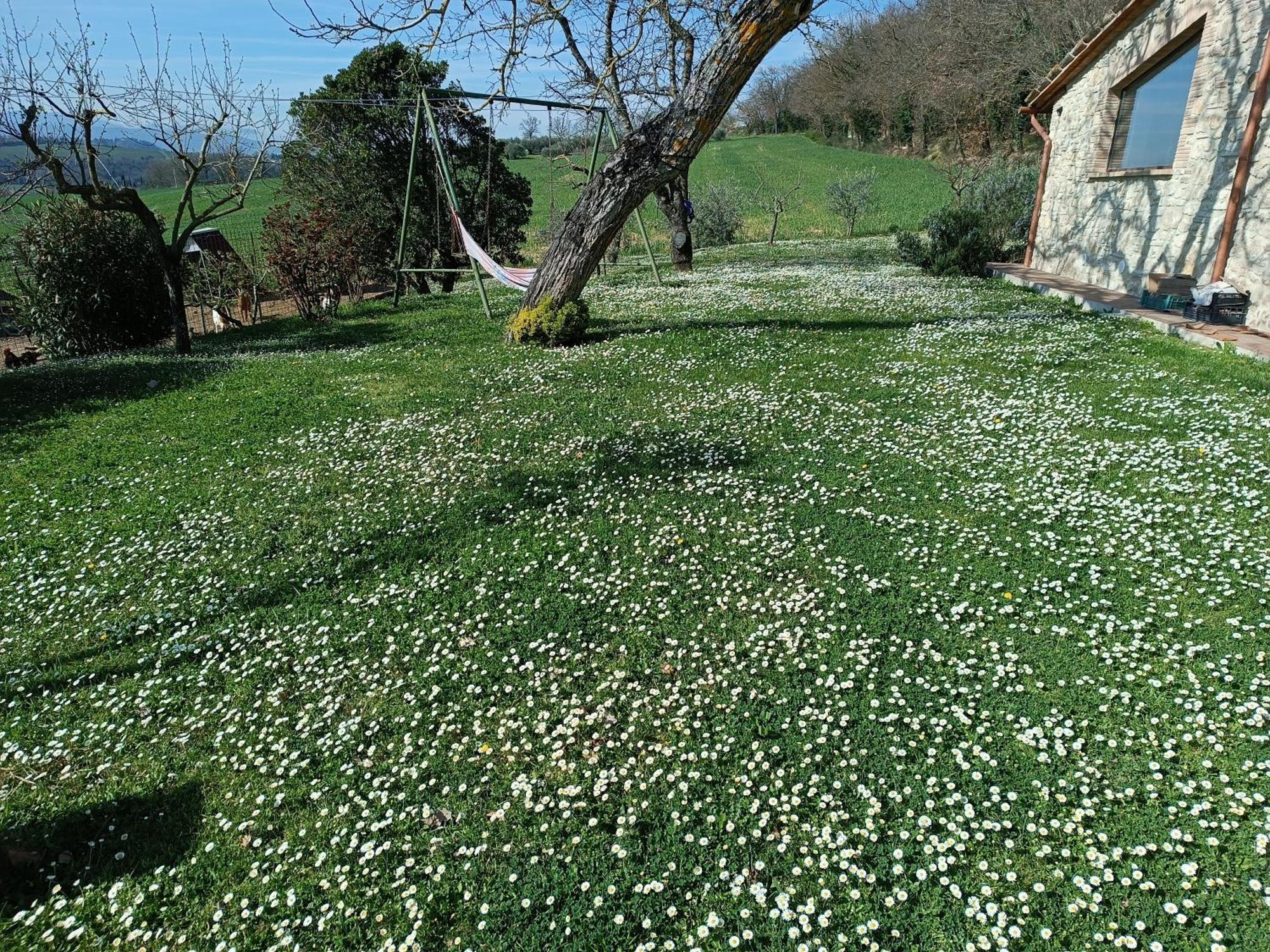 Villa La Piccola Fattoria Todi Esterno foto